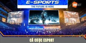 Cá cược esports 188bet