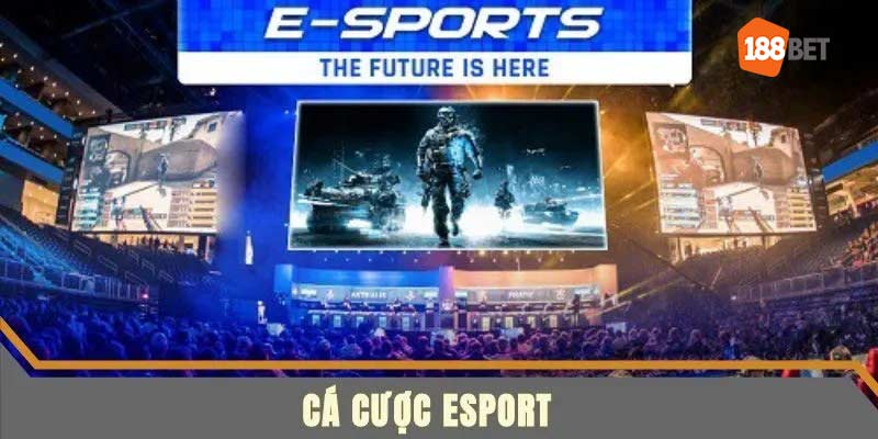 Cá cược esports 188bet