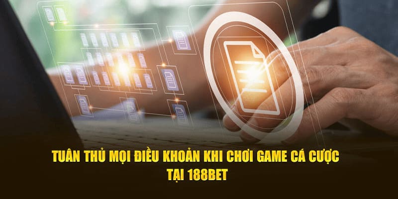 Tuân thủ mọi điều khoản dịch vụ 188bet